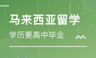 佛山芝諾日本留學(xué)中介 自費(fèi)出國留學(xué)的可靠選擇
